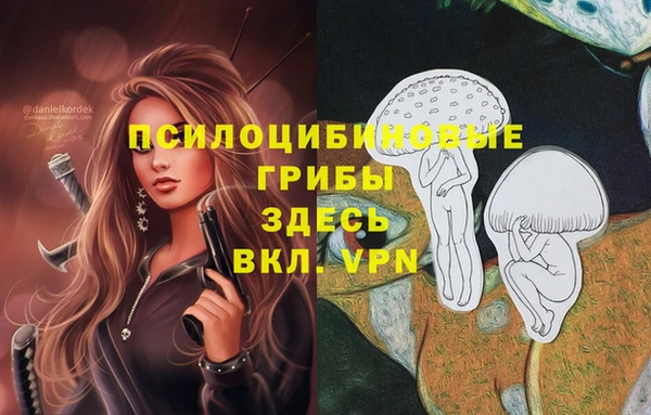 a pvp Армянск