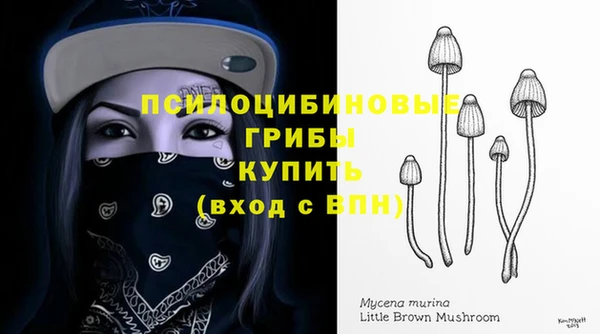 спиды Арсеньев