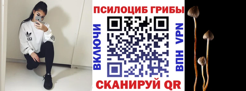 наркота  Сарапул  Галлюциногенные грибы Psilocybe 